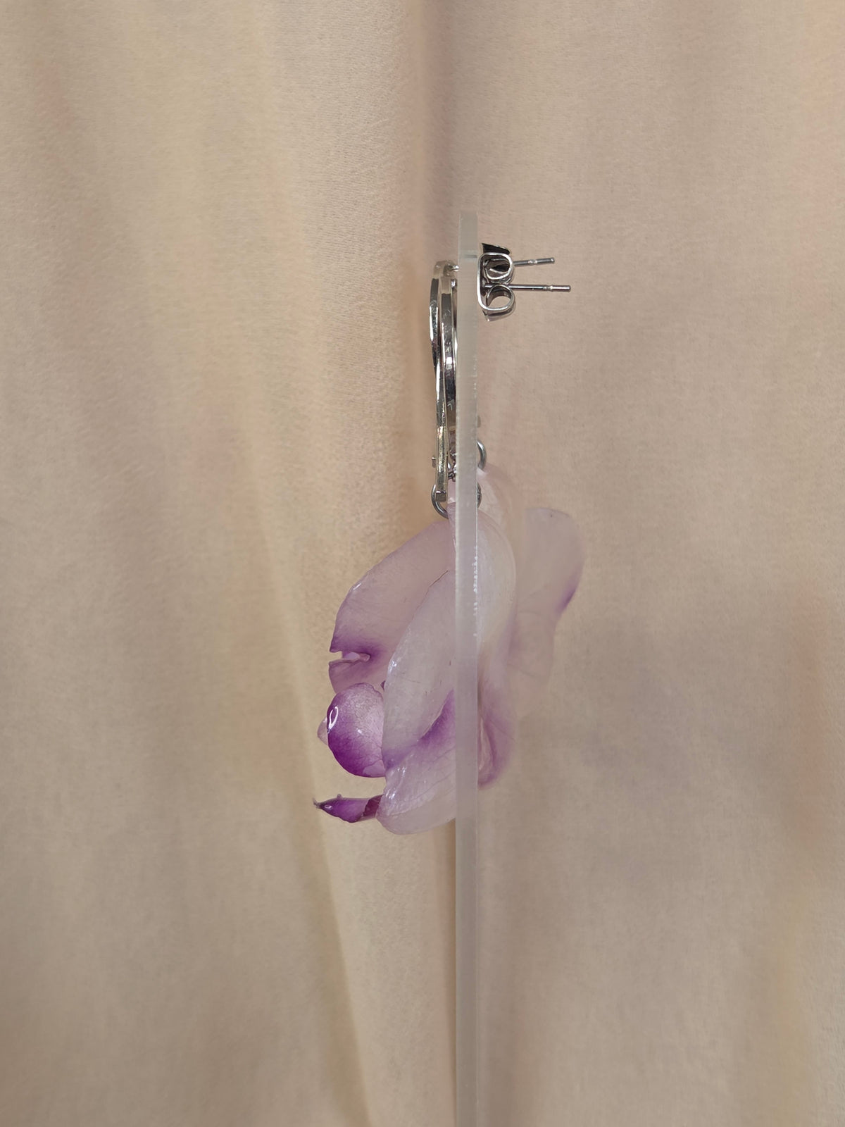Boucles d'oreilles Pégase