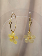 Boucle d'oreille Vega