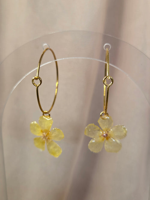 Boucle d'oreille Vega
