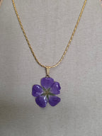 Collier argon