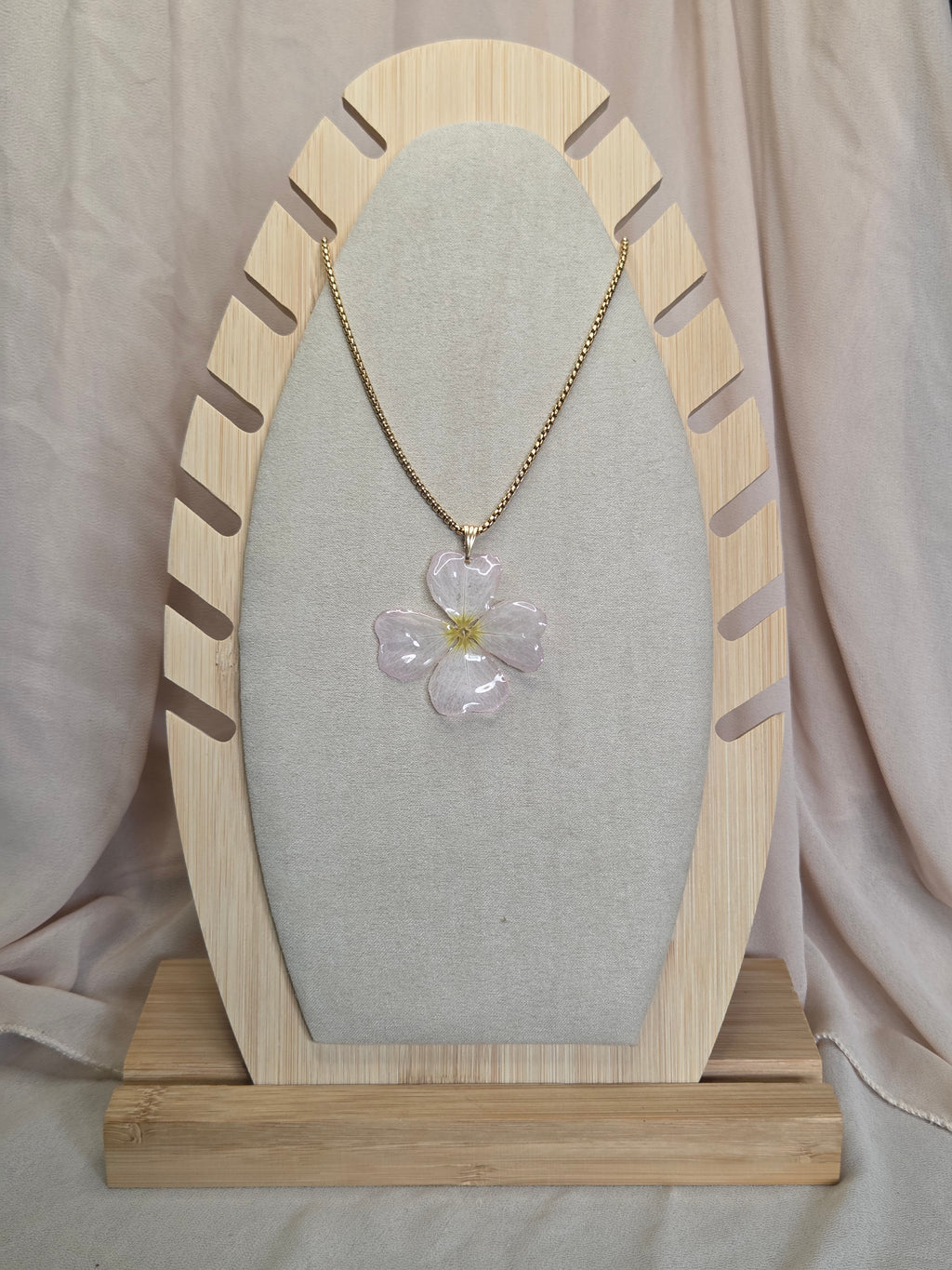 Collier Nova