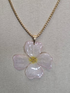 Collier Nova