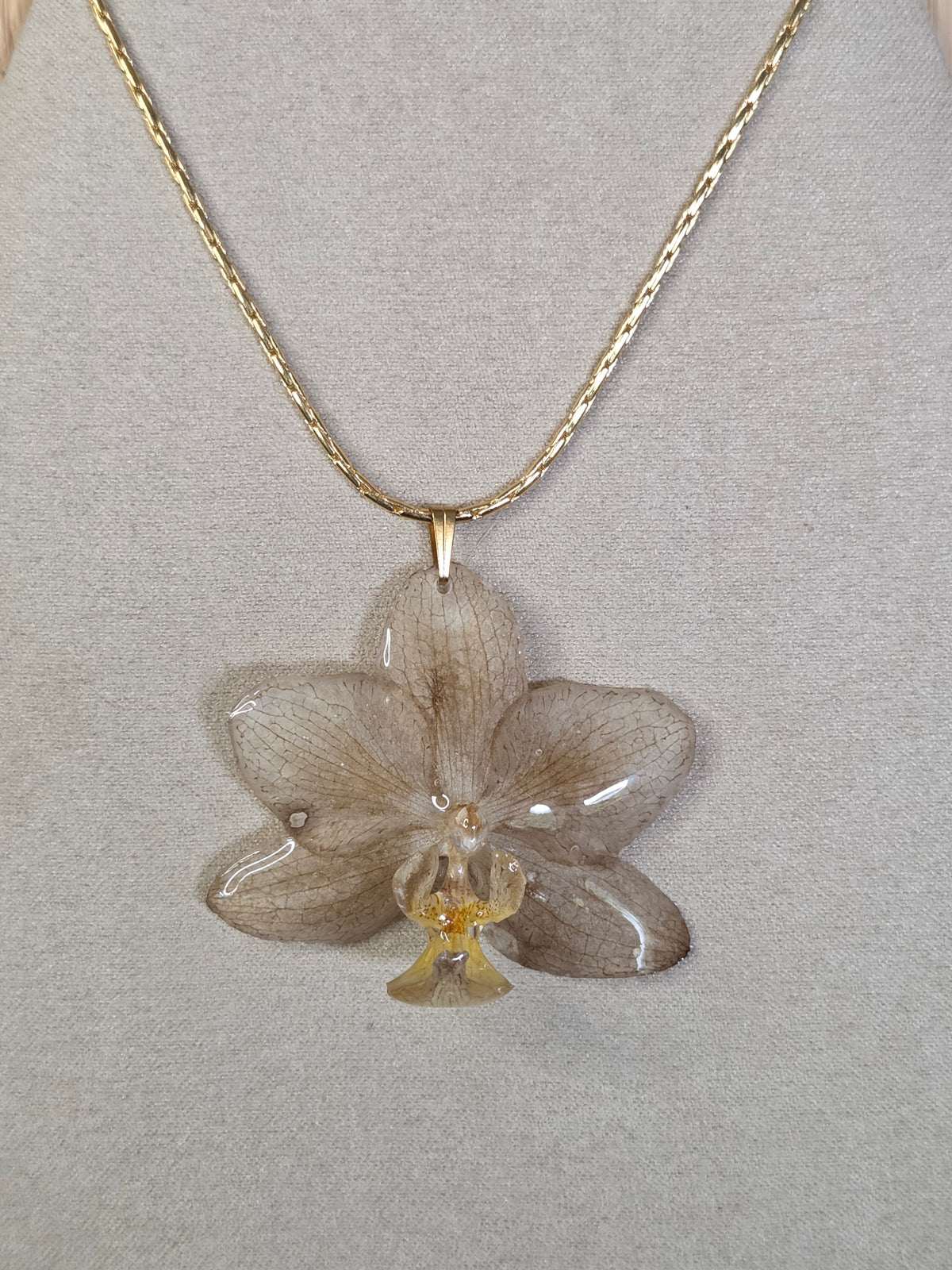 Collier horizon